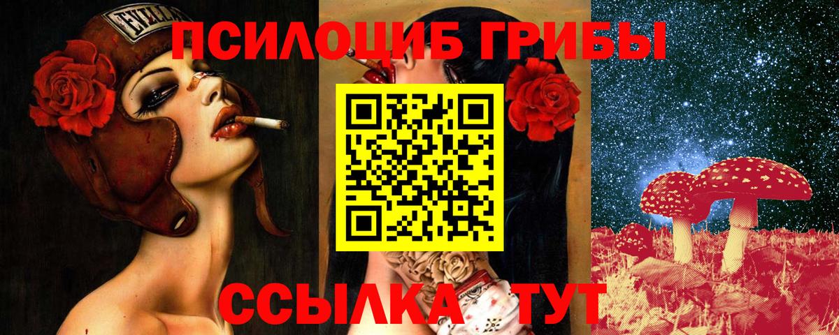 Галлюциногенные грибы прущие грибы Новокубанск